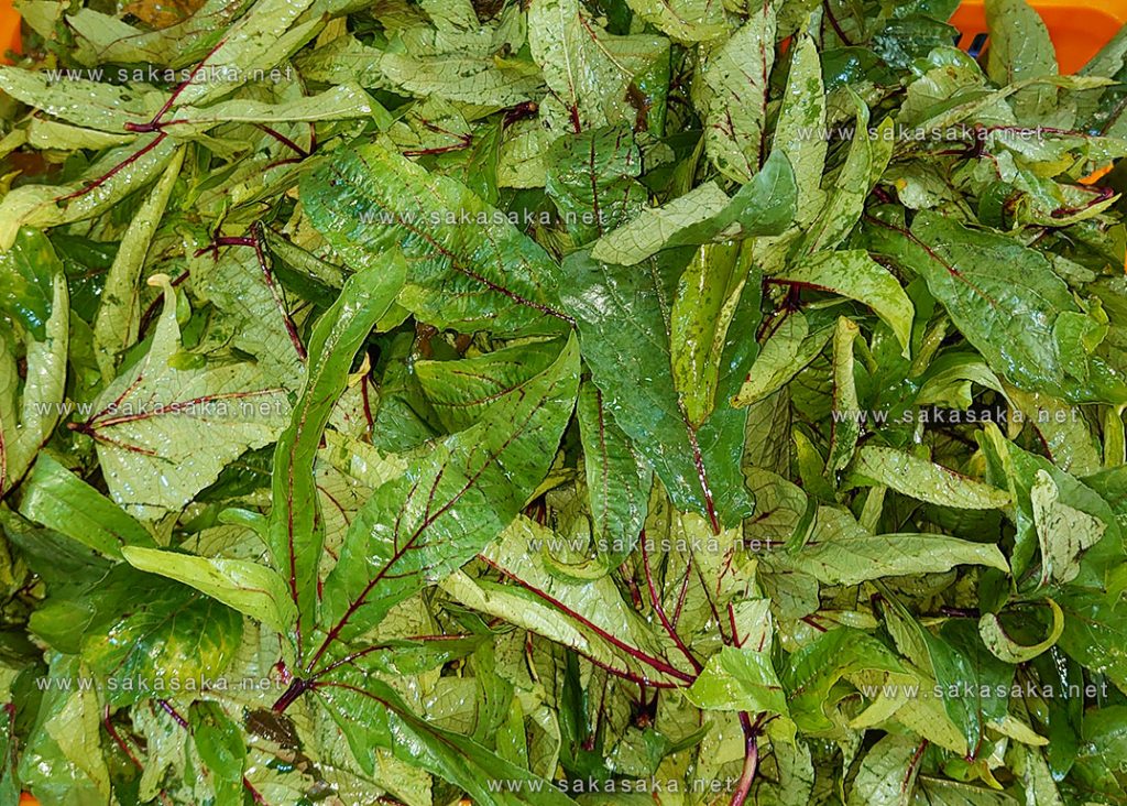 White Sour Sour & Fufu (Sierra Leone)