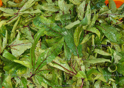 White Sour Sour & Fufu (Sierra Leone)